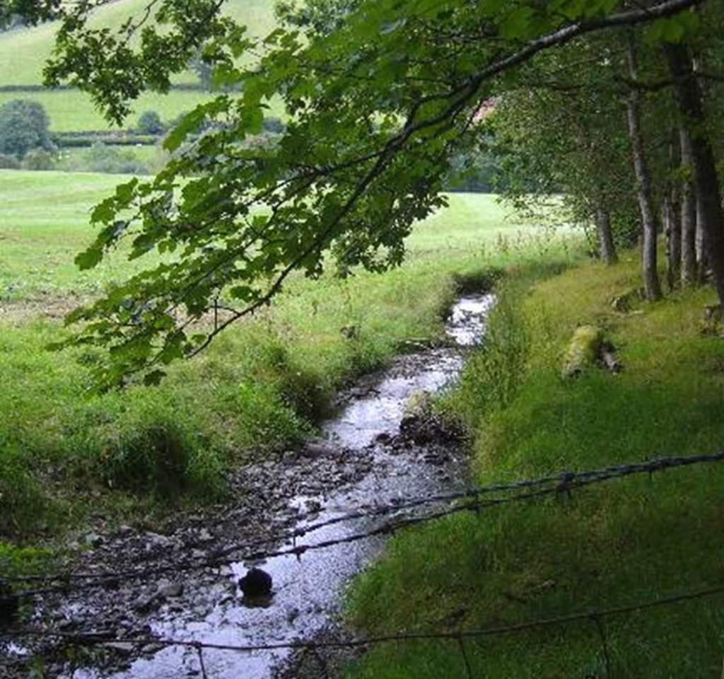 Know Your Boundaries